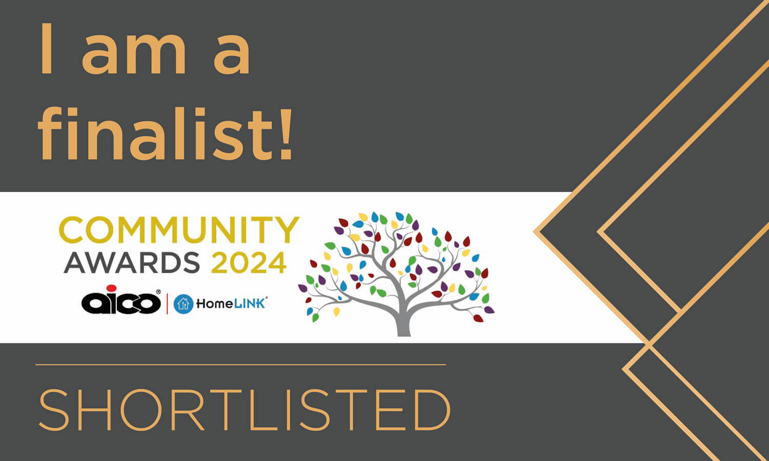 We were delighted to be finalists at the aico HomeLINK community awards 2024.