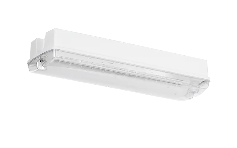 Coughtrie lights are approved by Edinburgh Council for tenements & stairways.